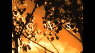 Gas  Königsforst 1999 full album [upl. by Daffodil]