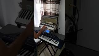 solo tsifteteli farfisa trancicord [upl. by Pleione621]