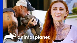 Extremely Shy Dog Finally Gets Adopted  Pit Bulls amp Parolees [upl. by Tongue]