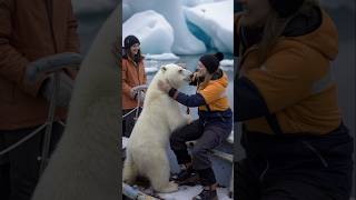 Polar Bears Heartwarming Rescue polarbearrescue wildlifeconservation arcticanimals [upl. by Oriana]