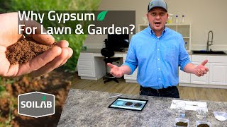 What is Gypsum and How Does It Help My Lawn and Garden [upl. by Eleets994]