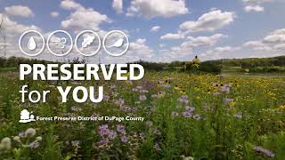 20 years of restoration at Herrick Lake Forest Preserve [upl. by Neibart103]