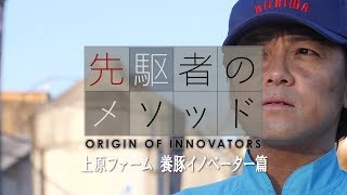 【先駆者のメソッド】上原ファーム 養豚イノベーター篇 国家 労働 税理士 代表 情報技術 戦略 農業 投資 事業者 就職難 新卒 経営学部 畜産 コロナ禍 宮崎 都城 [upl. by Oderfodog106]