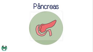 Aula 5  Fisiologia endócrina pâncreas  insulina Glucagon e Somatostatina  Humana e Veterinária [upl. by Aneehsal282]