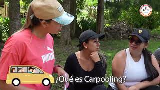 ¿QUÉ ES CARPOOLING [upl. by Mauralia834]