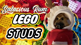 LIVE The LEGO STUDS  BRICK BABS with Salacious Rum [upl. by Karas]