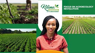 Focus On Agroecology Revolution In Kenya  Kilimo na Biashara [upl. by Cally]