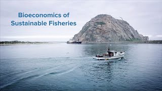 Bioeconomics of Sustainable Fisheries [upl. by Maybelle464]