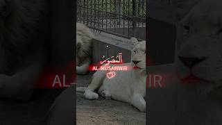 ALLAH TAALAH NAMESislamicprayer shortsfeed shortvideo [upl. by Donnell]