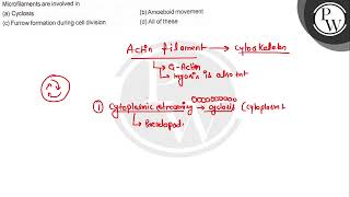 Microfilaments are involved in a Cyclosis b Amoeboid movement [upl. by Elletsyrc108]