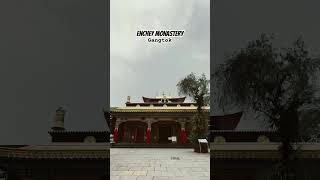 Enchey monastery monastery sikkim visitsikkim travel shortvideo trendingshorts sikkimdiaries [upl. by Kcerb]