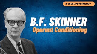 Behaviourist Approach  BF Skinner  Operant Conditioning  AQA Psychology [upl. by Sidell]