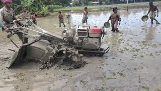 Ploughing the paddy field on tractor the village farming tractor 2024 [upl. by Gairc816]