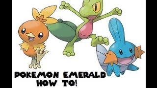 Pokemon Emerald  How To Get HM07 WATERFALL [upl. by Butch885]