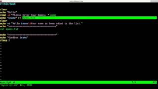 Writing your First Shell Script for Linux Tutorial [upl. by Leaw]