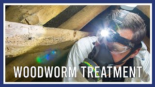 Woodworm treatment [upl. by Alejna654]