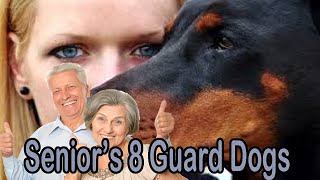 8 Best Guard Dogs for Seniors  Conclusion [upl. by Holman]