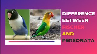 Difference between Personate and Fischer  UrduHindi [upl. by Inga111]