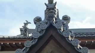 Japan trip 2024 pt3 Miyajima Island Monastery [upl. by Kragh]