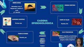 Cadena Epidemiologica e interaccion con el Medio de la Malaria [upl. by Ailegnave]