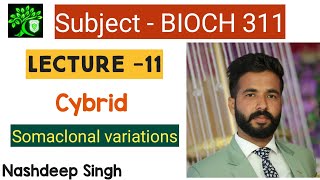 Bioch 311  Cybrid  Somaclonal variations  Somaclone biotechnology for bsc agriculture  Nashdeep [upl. by Yodlem97]