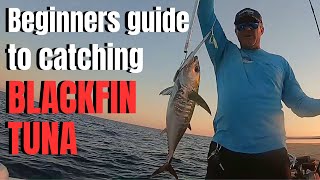 Beginners guide to catching BLACKFIN TUNA [upl. by Aloisius]