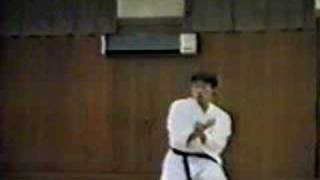 SHOTOKAI KARATEDO KATA GANKAKU [upl. by Gisela]