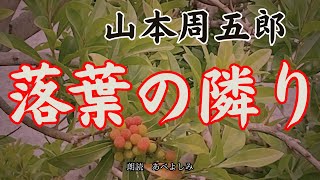 【朗読】山本周五郎「落葉の隣り」 朗読・あべよしみ [upl. by Ihteerp]