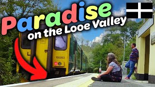 Finding Paradise on the Looe Valley Line  Visiting Every Station in Cornwall [upl. by Etakyram757]