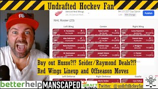 202425 Detroit Red Wings Lineup and Offseason Review [upl. by Nilatak]