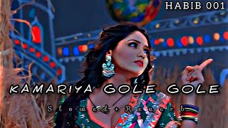 Kamariya Gole Gole Dole Raja Ji 🥵 SlowedReverb Lofi SongHABIB001 MUSIC 🎶🎧😍 [upl. by Ayram]