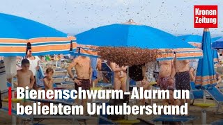 BienenschwarmAlarm an beliebtem Urlauberstrand  NEWS kronetv [upl. by Murat]