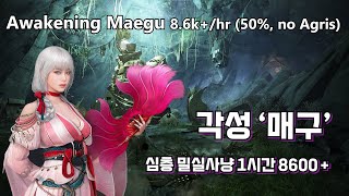 BDO Awakening Maegu Sycraia 86khr 271AP 50 no agris pve 검은사막 각성매구 산뜻한 1일 밀실 사냥 [upl. by Pennington]