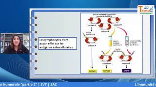 L’immunité spécifique acquise à médiation humorale Partie 2 [upl. by Noraf656]