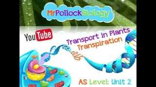 Transport in Plants Transpiration amp Xerophytes [upl. by Aissyla]