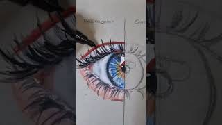 Prismacolor Premier vs Caran dAche Luminance Coloured Pencils [upl. by Georgy]