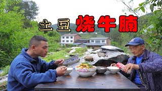 新鲜土豆终于长大了，小伙挖回家烧牛腩吃，土豆耙甜耙甜的，巴适 [upl. by Akirdna]