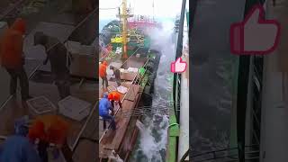 Process of transferring goods between fishing vessels [upl. by Si760]