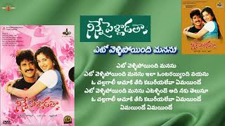 ఎటో వెళ్ళిపోయింది మనసు Eto vellipoyindi  Ninne pelladatha ninnepelladatha akkineninagarjuna [upl. by Line]