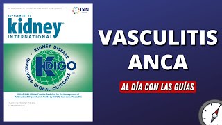 Vasculitis ANCA  KIDGO 2024 AlDíaConLasGuías [upl. by Anayek514]