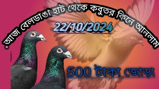 কবুতর হাট বেলডাঙাকেমন কবুতর কিনে আনলাম দেখাবোI will show you how I bought a pigeon [upl. by Einned]