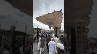 Ya nabi salam alyeka yt shorts ytshorts trendingshorts quranrecitation [upl. by Letch]