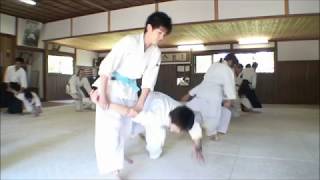 AIKIDO AIKIKAI FOUNDATION IBARAKI SHIBU DOJO [upl. by Reba]