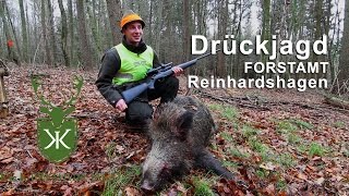 Drückjagd im Forstamt Reinhardshagen KampK Premium Jagd [upl. by Sorac751]