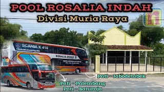 Inilah Lokasi Pool Rosalia Indah Div Muria Raya‼️Jalur Baru Pati  Sumatera amp Pati  Jabodetabek🔥 [upl. by Leonanie]