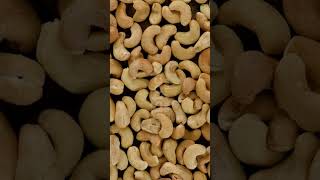 Important fact of cashew cashewfact dailyfactvideo youtubefact cashewkefayde oneshort gkfacts [upl. by Poree]