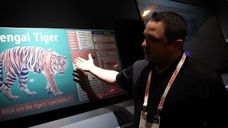 Sharp Booth Tour at ces2024 Transflective IGZO LCD Reflective IGZO LCD Space Solar Oven etc [upl. by Gottlieb141]