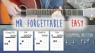 Mr Forgettable  David Kushner  EASY Guitar Tutorial with Chords and Strumming Pattern [upl. by Nayr]