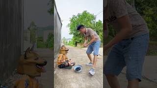 The man teased the dog and the endingdog comedy funny shorts [upl. by Dolly]