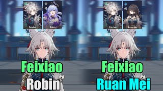 How Much Does Ruan Mei Vs Robin Buff Feixiao   HSR [upl. by Hanima]